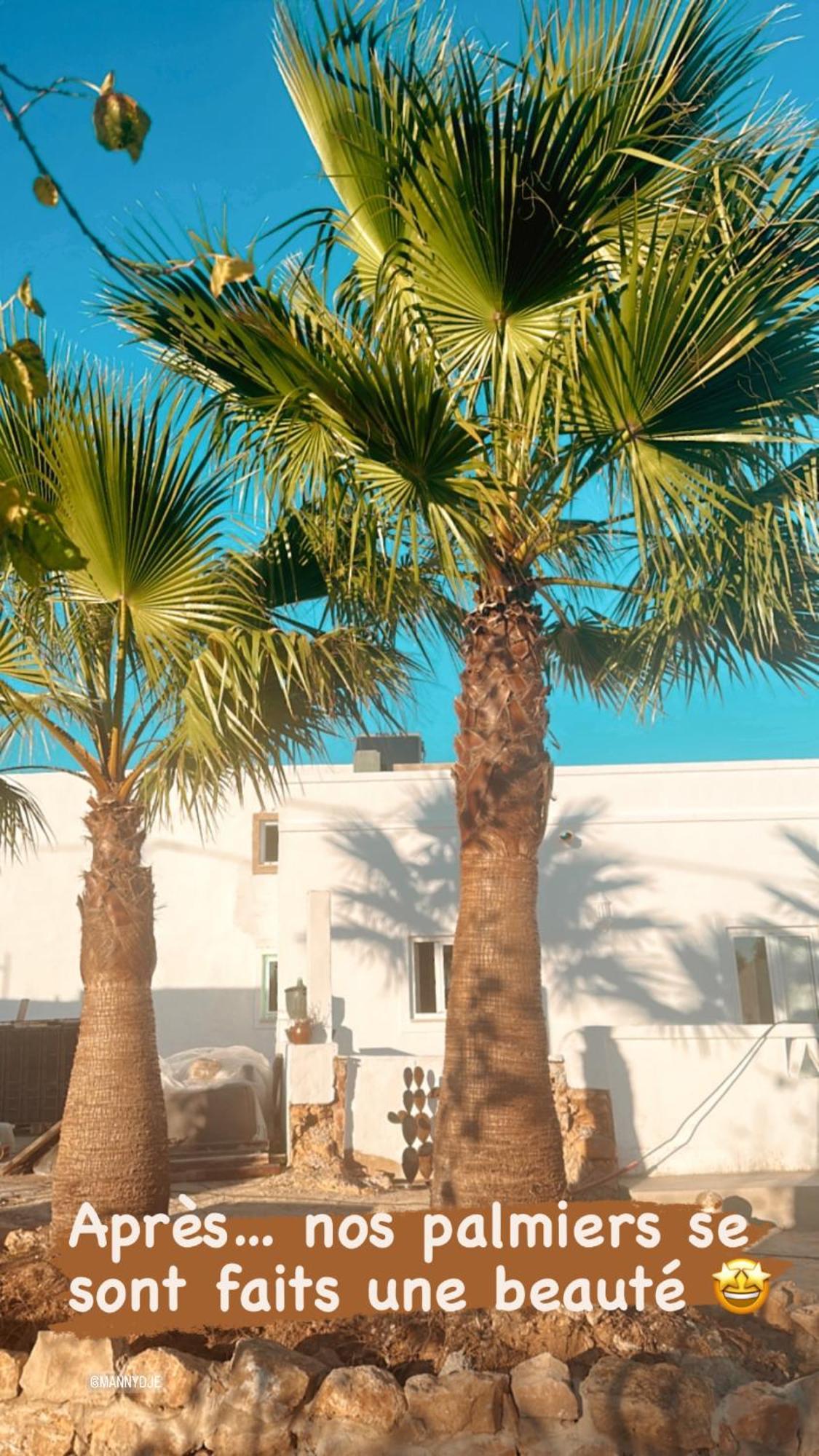 Vakantieboerderij La Quinta Da Liberdade - Ferme De Charme En Algarve *