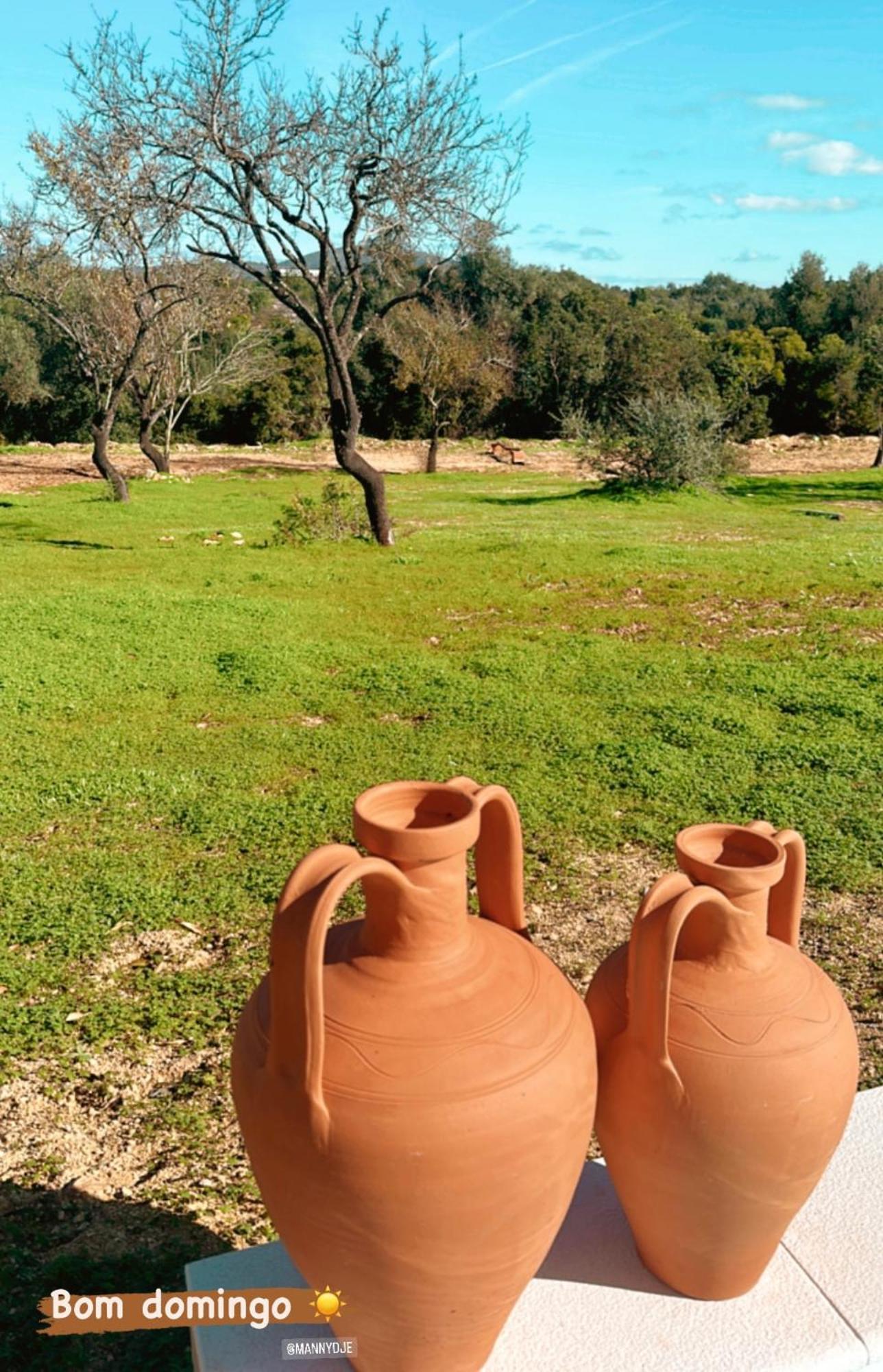 La Quinta Da Liberdade - Ferme De Charme En Algarve Pechão
