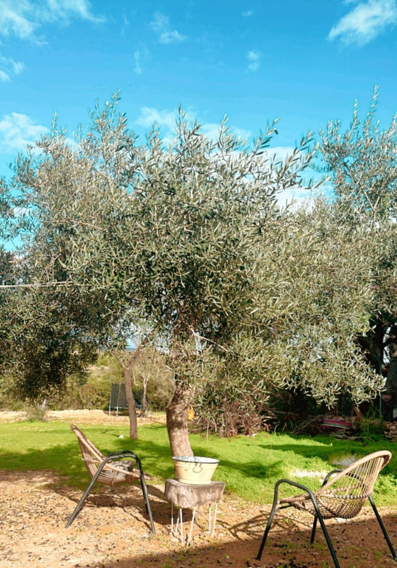 La Quinta Da Liberdade - Ferme De Charme En Algarve