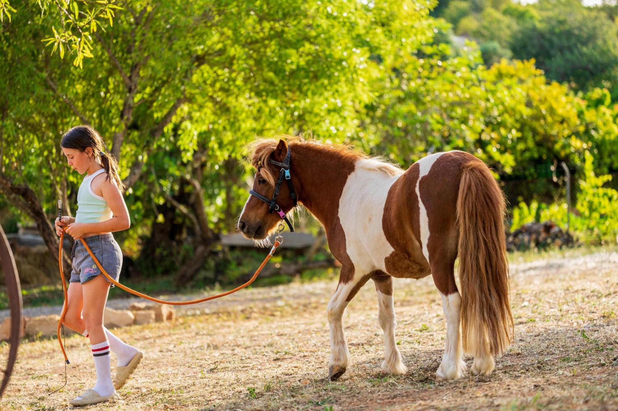 Séjour à la ferme La Quinta Da Liberdade - Ferme De Charme En Algarve *