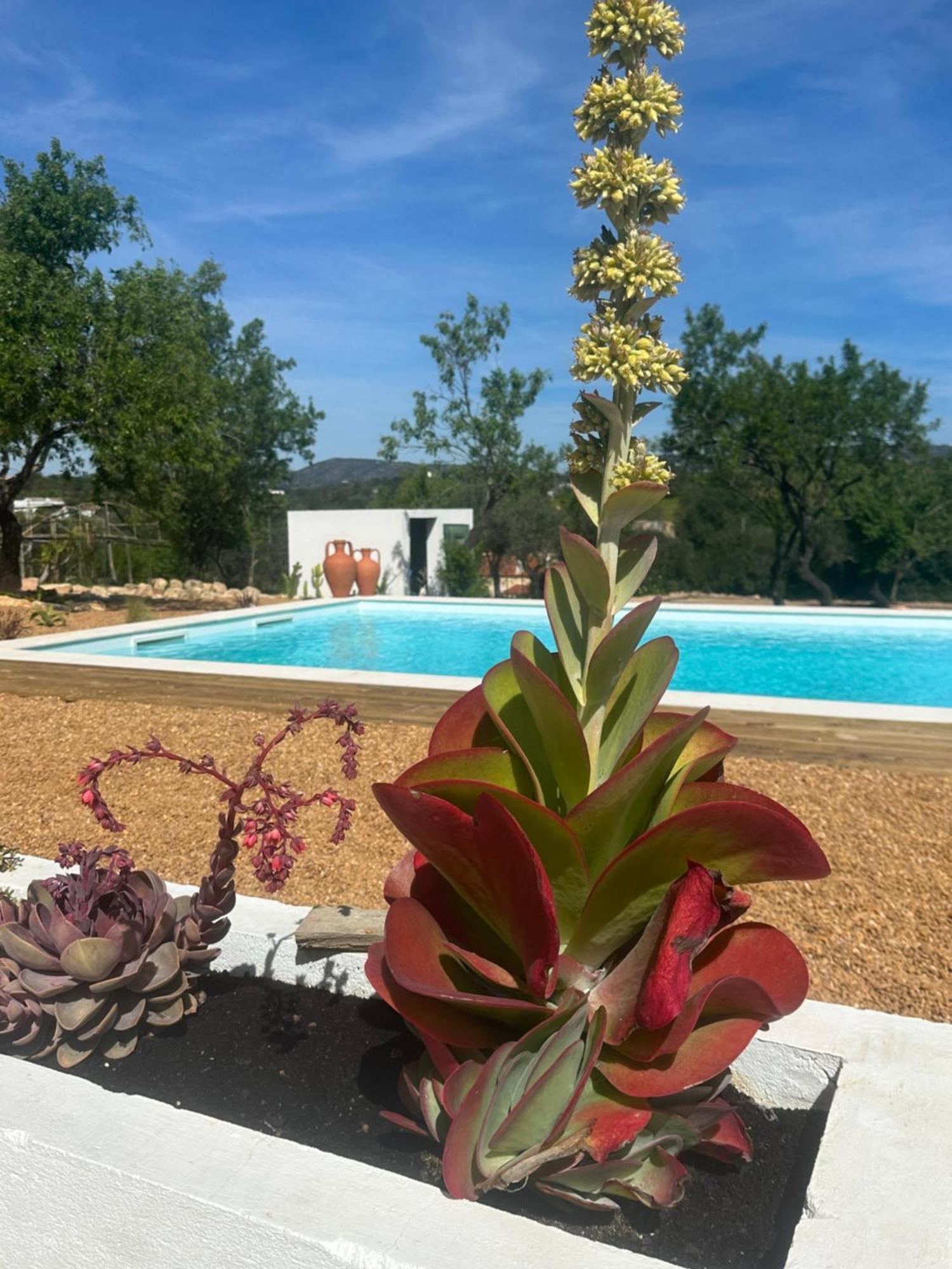 Vakantieboerderij La Quinta Da Liberdade - Ferme De Charme En Algarve *
