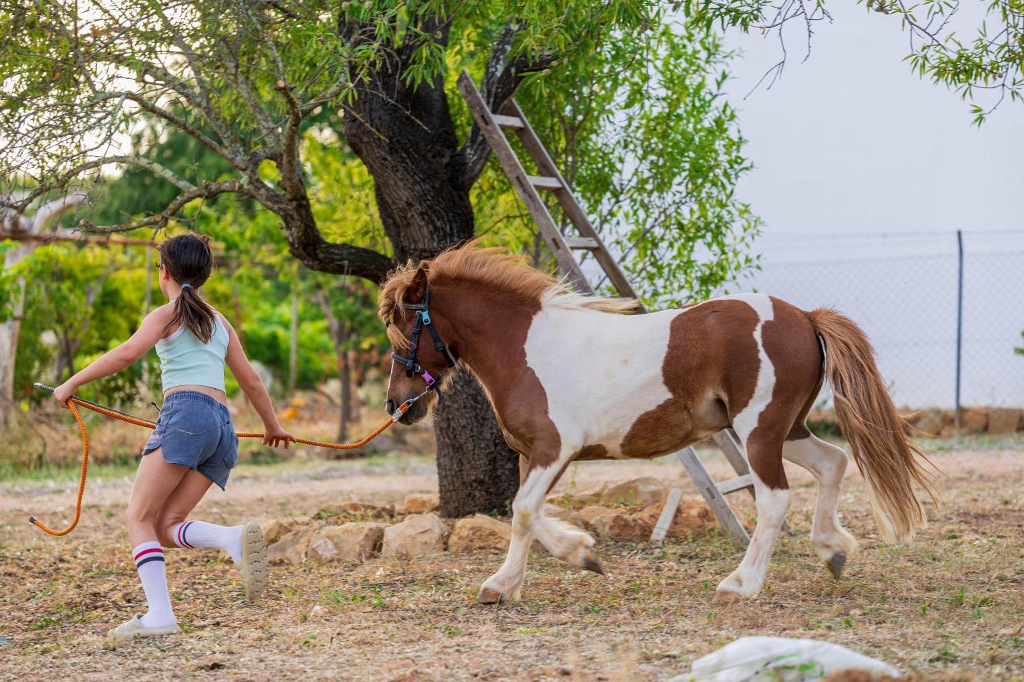 La Quinta Da Liberdade - Ferme De Charme En Algarve